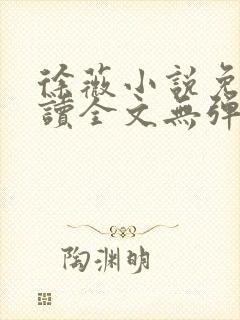 徐薇小说免费阅读全文无弹窗