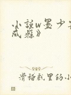 小说w墨少宠妻成瘾》