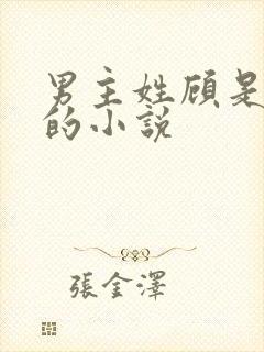 男主姓顾是首辅的小说