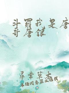 斗罗我是唐三他哥唐银