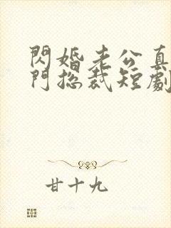 闪婚老公真是豪门总裁短剧免费观看