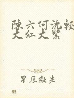 陈六何沈轻舞 大红大紫