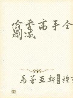 偷香高手全文无删减