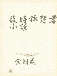 苏时锦楚君彻的小说
