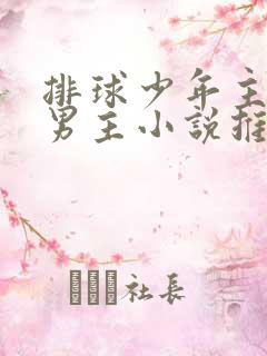 排球少年主受双男主小说推荐