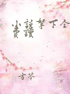 小说拿下全本免费读
