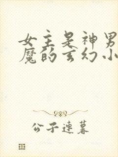 女主是神男主是魔的玄幻小说