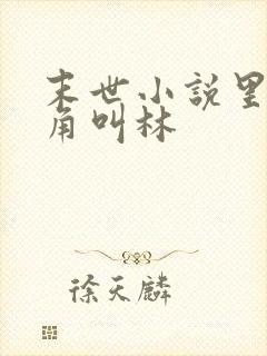 末世小说里面主角叫林
