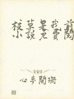 校草是我前男友小说免费阅读