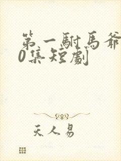 第一驸马爷100集短剧