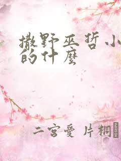 撒野巫哲小说讲的什么