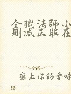 全职法师小说无删减正版在线阅读