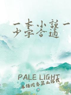 一本小说一章多少字合适