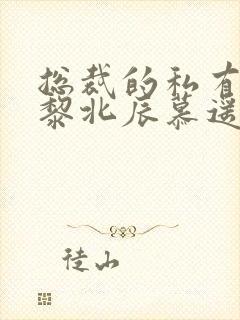 总裁的私有宝贝黎北辰慕遥