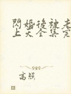 闪婚后被老公宠上天全集完整版