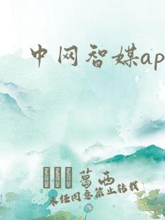 中网智媒app