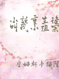 小说重生后大佬叫我小祖宗