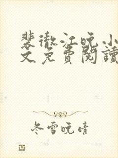 裴彻江晚小说全文免费阅读