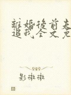 离婚后前夫总是追我全文免费阅读