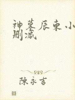 神墓辰东小说无删减