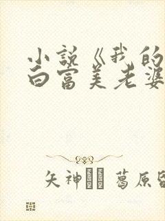 小说《我的总裁白富美老婆》
