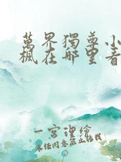 万界独尊小说林枫在哪里看