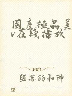 国产极品美女av在线播放