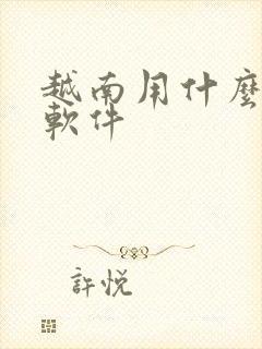 越南用什么聊天软件