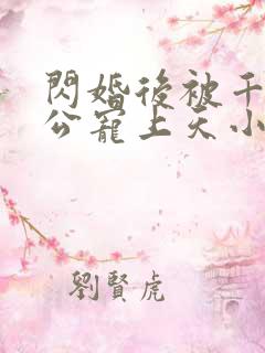 闪婚后被千亿老公宠上天小说
