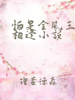 怕是金风玉露不相逢小说