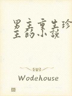 男主重生珍惜女主的小说