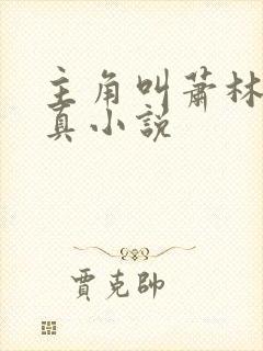 主角叫萧林的修真小说