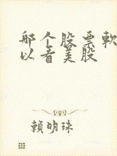 哪个股票软件可以看美股