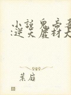 小说 鬼帝毒妃:逆天废材大姐大