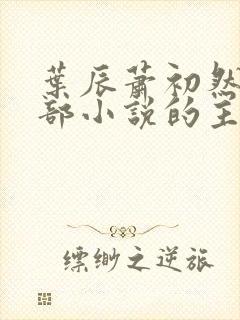 叶辰萧初然是哪部小说的主角