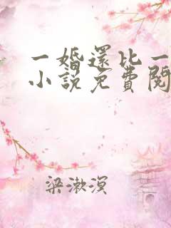 一婚还比一婚高小说免费阅读