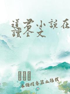 道君小说在线阅读全文