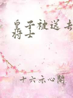 皇子被送去犒劳将士