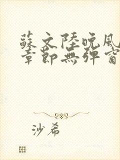 苏文陆晚风最新章节无弹窗笔趣阁
