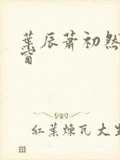 叶辰萧初然无弹窗