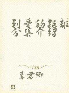 到爱的距离剧情分集介绍