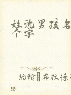 姓沈男孩名字两个字