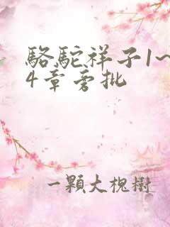 骆驼祥子1~24章旁批