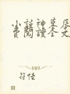 小说神墓辰东免费阅读全文