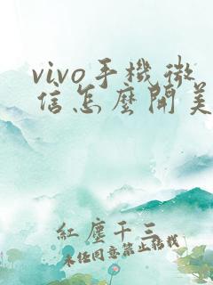vivo手机微信怎么开美颜视频聊天
