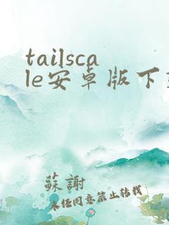 tailscale安卓版下载