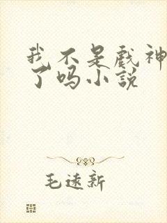 我不是戏神完结了吗小说