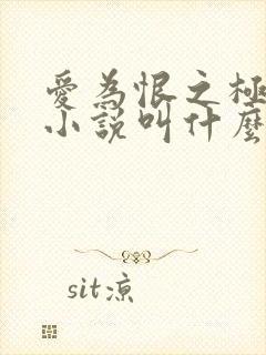 爱为恨之极原著小说叫什么名字