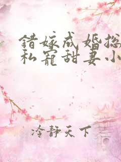 错嫁成婚总裁的私宠甜妻小说完整版