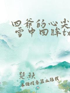 四爷的心尖宠妃 雪中回眸txt